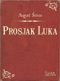 Prosjak Luka (eBook, ePUB)