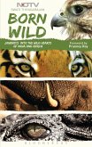 Born Wild (eBook, ePUB)