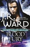 Blood Fury (eBook, ePUB)