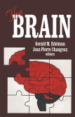 The Brain (eBook, PDF)