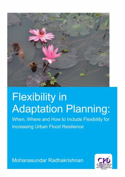 Flexibility in Adaptation Planning (eBook, PDF)