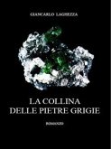 La collina delle pietre grigie (eBook, ePUB)