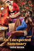 An Unexpected Sanctuary (eBook, ePUB)