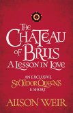 The Chateau of Briis (eBook, ePUB)