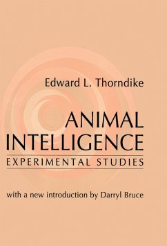 Cover Animal Intelligence (eBook, PDF)