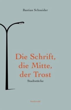 Die Schrift, die Mitte, der Trost - Schneider, Bastian