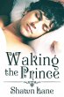 Waking the Prince (eBook, ePUB) - Bild 1