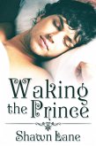 Waking the Prince (eBook, ePUB)