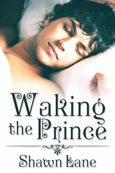 Waking the Prince (eBook, ePUB)