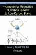 Hydrothermal Reduction of Carbon... - Bild 1