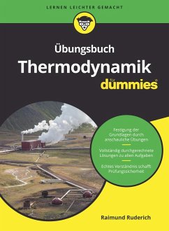 Übungsbuch Thermodynamik für Dummies - Ruderich, Raimund