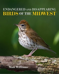 Endangered and Disappearing Birds of the Midwest - Williams, Matt