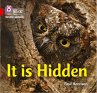 It Is Hidden - Bild 1
