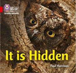 It Is Hidden - Harrison, Paul
