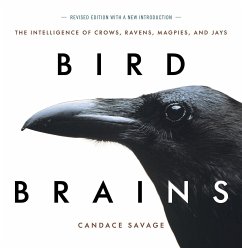 Bird Brains - Savage, Candace