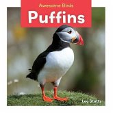 Puffins