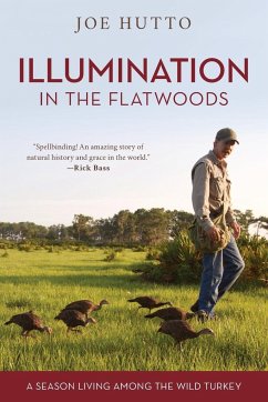 Illumination in the Flatwoods - Hutto, Joe