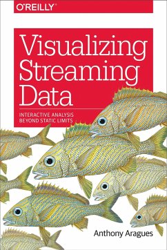 Visualizing Streaming Data - Aragues, Anthony