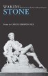 Waking Stone (eBook, PDF) - Bild 1