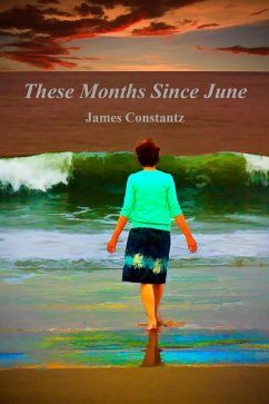 Cover These Months Since June (eBook, ePUB)