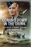 Coming Down in the Drink (eBook, ePUB)
