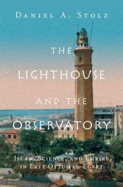 Lighthouse and the Observatory (eBook, PDF) - Stolz, Daniel A.