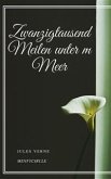 Zwanzigtausend Meilen unter m Meer (eBook, ePUB)