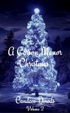 A Carson Manor Christmas Vol 2 (eBook, ePUB)