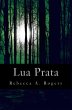 Lua Prata (eBook, ePUB) - Bild 1