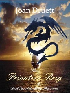 The Privateer Brig (The Money Ship, #2) (eBook, ePUB) - Druett, Joan