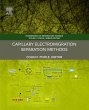 Capillary Electromigration Separation... - Bild 1