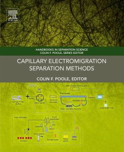 Capillary Electromigration Separation Methods (eBook, ePUB)