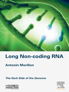 Long Non-coding RNA (eBook, ePUB) - Morillon, Antonin