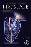 A Comprehensive Guide to the Prostate (eBook, ePUB)