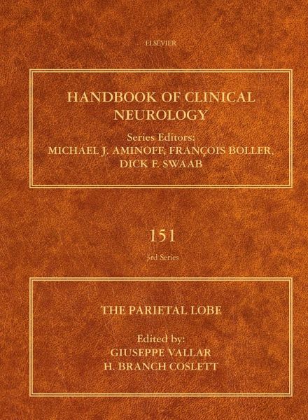 The Parietal Lobe (eBook, ePUB)