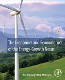 The Economics and Econometrics of the Energy-Growth Nexus (eBook, ePUB)