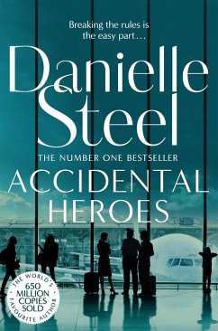 Accidental Heroes (eBook, ePUB) - Steel, Danielle