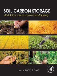 Soil Carbon Storage (eBook, ePUB)