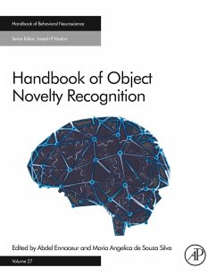 Cover Handbook of Object Novelty Recognition (eBook, ePUB)