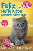 Felix the Fluffy Kitten and Other Kitten Tales (eBook, ePUB)