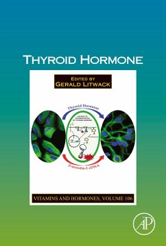 Thyroid Hormone (eBook, ePUB)