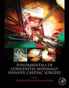 Fundamentals of Congenital Minimally Invasive Cardiac Surgery (eBook, ePUB) - Vida MD; Stellin, Giovanni
