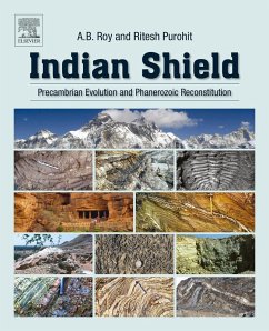 Cover Indian Shield (eBook, ePUB)