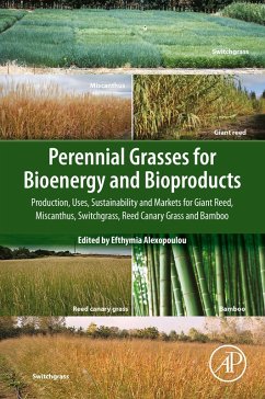 Cover Perennial Grasses for Bioenergy and Bioproducts (eBook, ePUB)