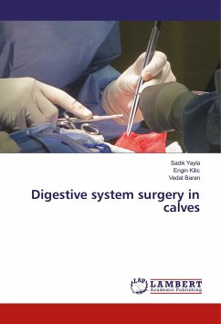 Digestive system surgery in calves