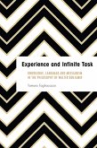Experience and Infinite Task (eBook, ePUB)