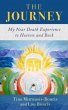 The Journey (eBook, ePUB) - Bild 1