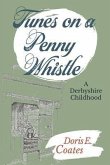 Tunes on a Penny Whistle (eBook, ePUB)