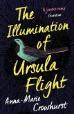 The Illumination of Ursula Flight (eBook, ePUB)