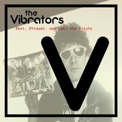 Past,Present & Into The Future - Vibrators